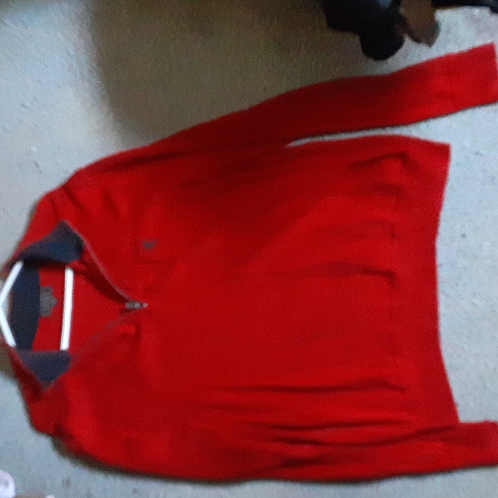 Express Mens lion logo Sweater